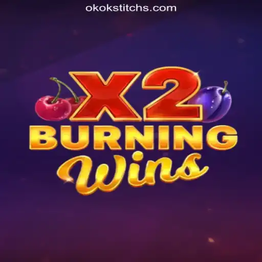 Exploring the Exciting World of BurningWinsX2: A Premium Slot Experience